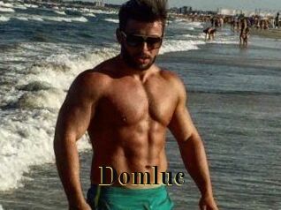 Domluc