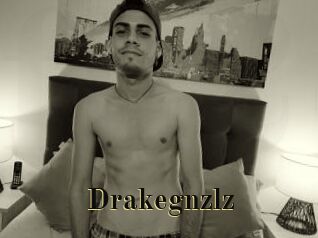 Drakegnzlz