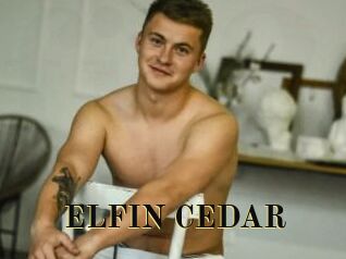 ELFIN_CEDAR