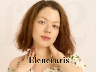 Elenecaris