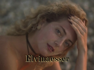 Elvinaesser