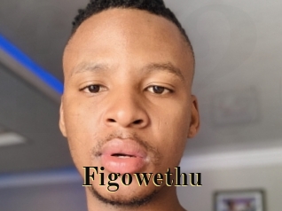 Figowethu