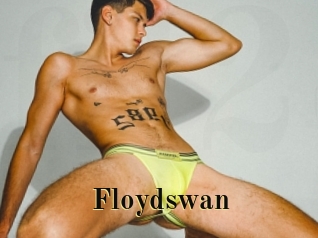 Floydswan