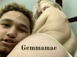 Gemmamae