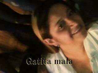 Gatita_mala