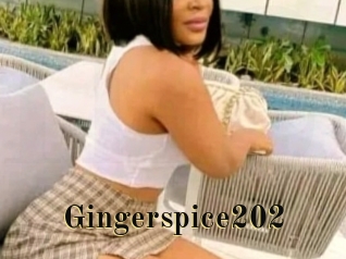 Gingerspice202