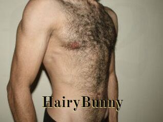 HairyBunny