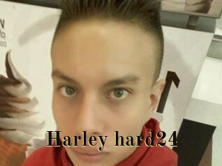 Harley_hard24