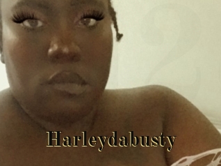 Harleydabusty