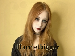 Harrietbigger