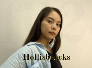 Hollisbrucks