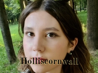 Holliscornwall