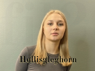 Hollisgleghorn