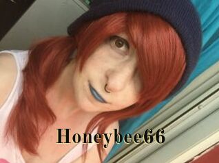 Honeybee66