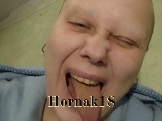 Hornak18