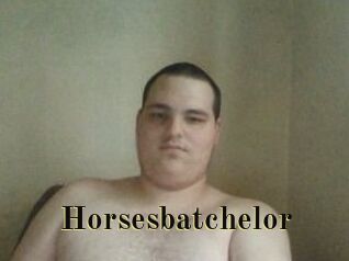 Horsesbatchelor