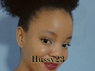 Hussy23