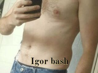 Igor_bash