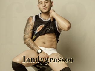 Iandygrassoo