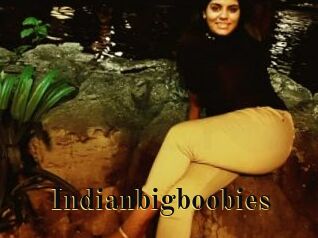 Indianbigboobies