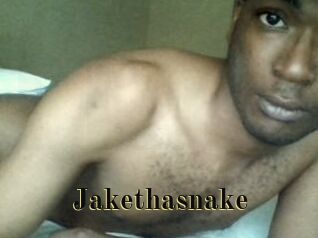 Jake_tha_snake