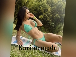 Karimemodel