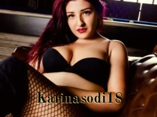 Karinasodi18