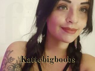 Kattebigboobs