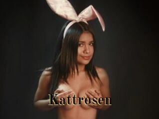 Kattrosen