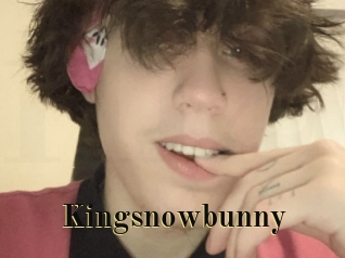 Kingsnowbunny