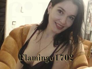 Flamingo1702