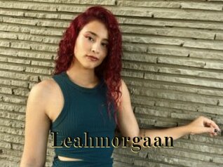 Leahmorgaan