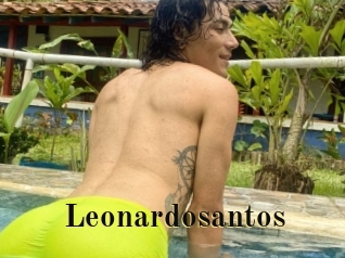 Leonardosantos