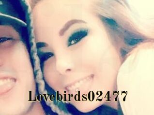 Lovebirds02477