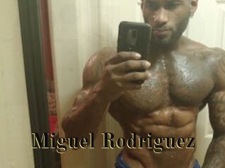 Miguel_Rodriguez