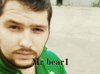 Mr_bear1