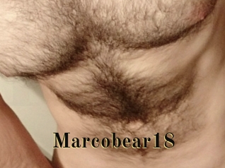 Marcobear18