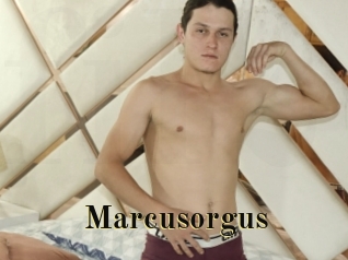 Marcusorgus