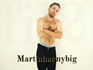 Martinhornybig