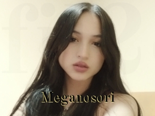 Meganosori