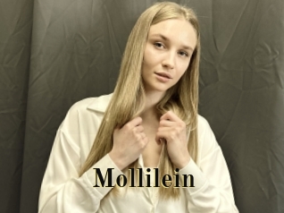 Mollilein