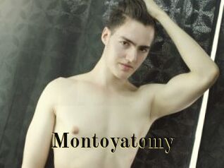 Montoyatomy