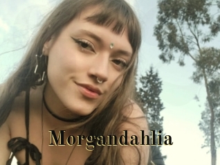 Morgandahlia