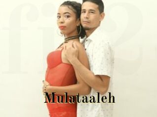 Mulataaleh