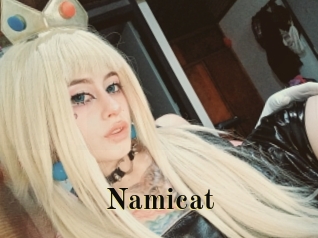 Namicat