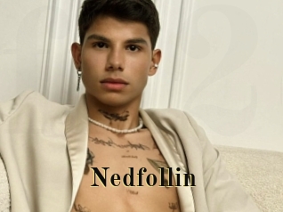 Nedfollin