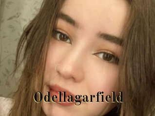 Odellagarfield