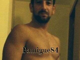 Pamigue84