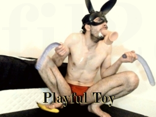 Playful_Toy