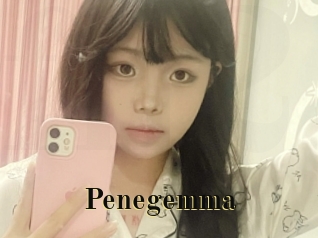 Penegemma